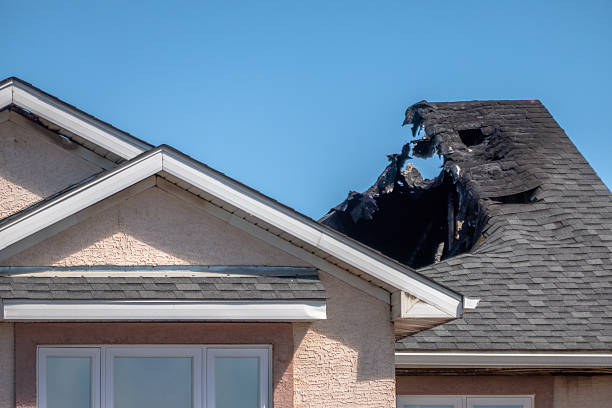 Top rated local Board Up Services specialists in Montrose, MN